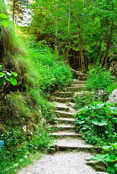 istock Stairs in green beauty 89923479