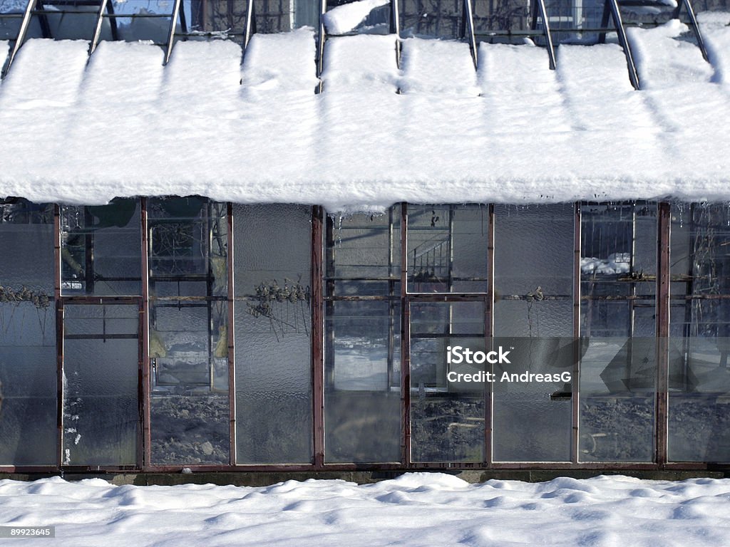 Inverno de estufa - Foto de stock de Abandonado royalty-free