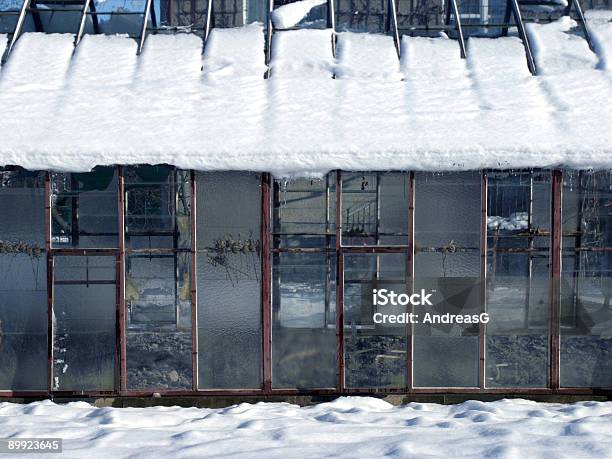 Foto de Inverno De Estufa e mais fotos de stock de Abandonado - Abandonado, Antigo, Apodrecer