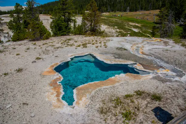Blue Star Spring is in the Upper Geyser Basin in Yellowstone National Park.