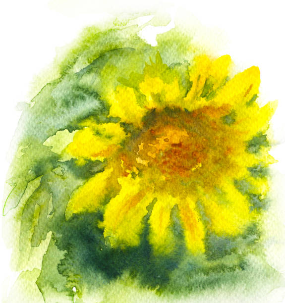 istock Watercolor Sunflower with Yellow Petals 899238778