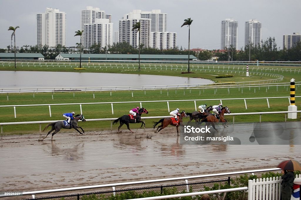 競馬で、雨の日 - ウマのロイヤリティフリーストックフォト