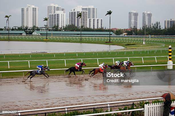 競馬で雨の日 - ウマのストックフォトや画像を多数ご用意 - ウマ, カラフル, カラー画像