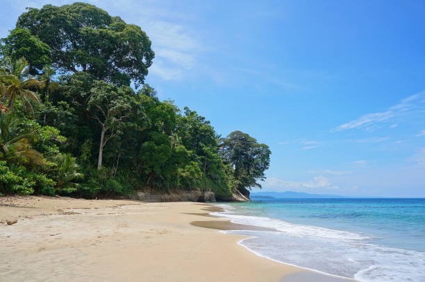 istock Costa Rica Caribbean beach with lush vegetation 899243408