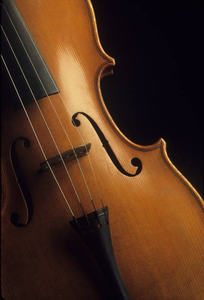 istock Close-up of violin 899243658