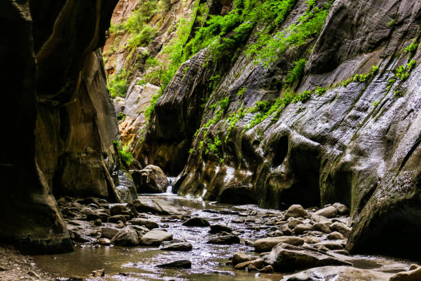 istock Zion Narrows P1130459 899243842