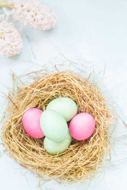 istock Colored Easter eggs in the nest and flowers. Space for text. Festive light Easter decoration. Easter concept. 899243858