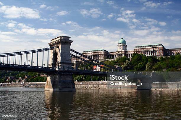 Budapest Palace E Il Ponte Delle Catene - Fotografie stock e altre immagini di Arte - Arte, Capitello, Castello