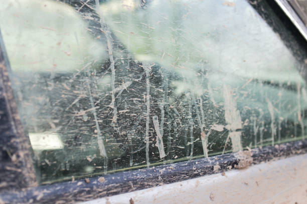 istock dirt on the glass car 899246918