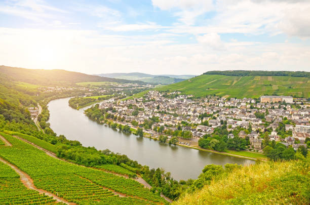 Moselle Valley Germany: View from Landshut Castle to the old town Bernkastel-Kues with vineyards and river Mosel in summer, Germany Europe Moselle Valley Germany: View from Landshut Castle to the old town Bernkastel-Kues with vineyards and river Mosel in summer, Germany Europe heidelberg germany photos stock pictures, royalty-free photos & images