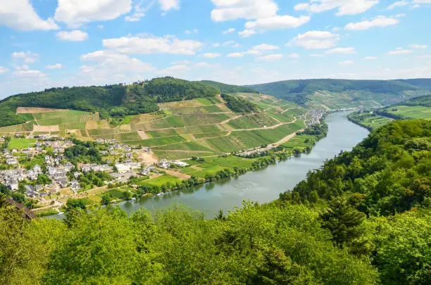 Moselle Valley Germany: View to river Moselle near village Puenderich and Marienburg Castle - Mosel wine region, Germany Europe