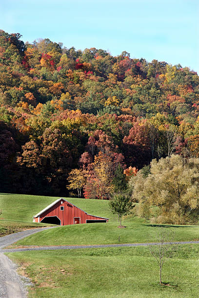 Valley Farm stock photo