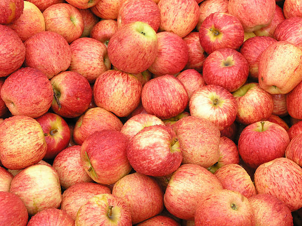 New Zealand Apples stock photo