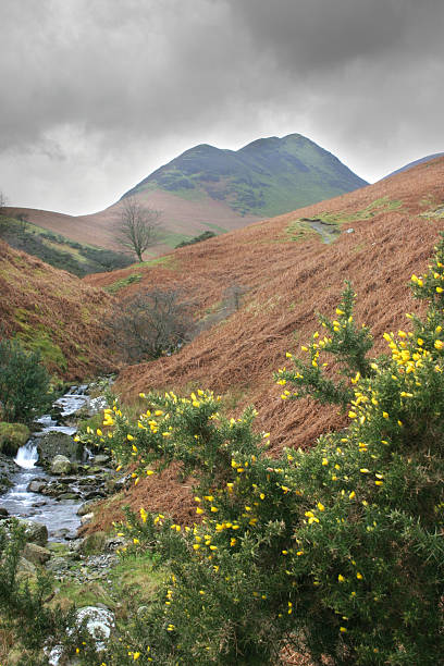 Ard rochedos, Cumbria - foto de acervo