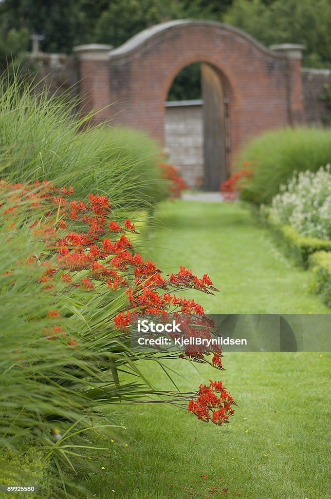 Садовая ограда и красный crocosmia цветы - Стоковые фото Ароматический роялти-фри