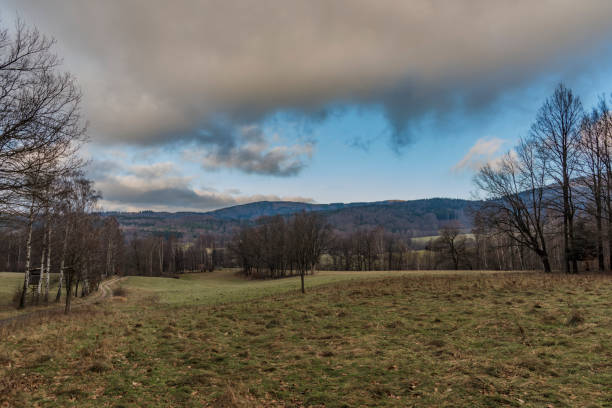 istock Birch tree on meadow near path to Jizerske mountains 899256464