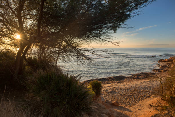 istock The calm sea in a very cloudy sunset 899258928