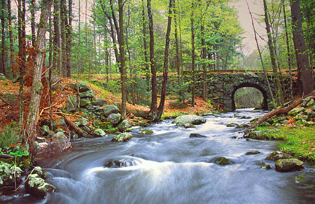 봄 - massachusetts landscape new england spring 뉴스 사진 이미지