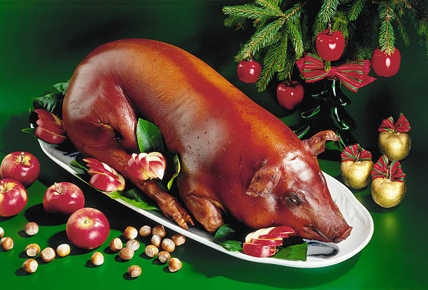 poor farming pig