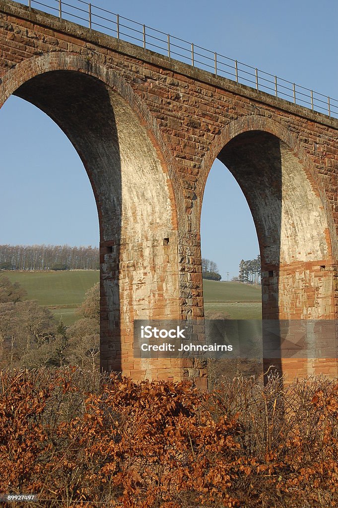 Ponte arcos. - Foto de stock de Arbusto royalty-free