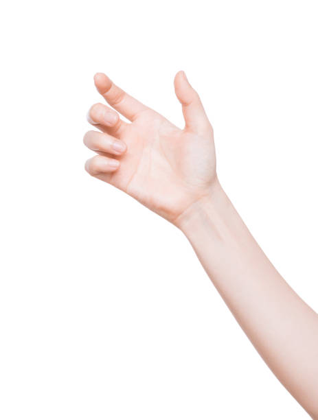 istock woman hands on white background 899276156