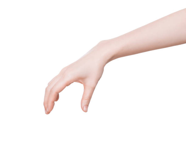istock woman hands on white background 899276164