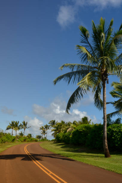 istock Tropical highway on Kauai, Hawaii 899276870