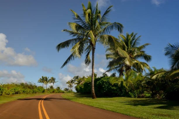 istock Tropical highway on Kauai, Hawaii 899276880