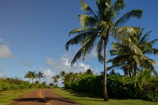 istock Tropical highway on Kauai, Hawaii 899276930