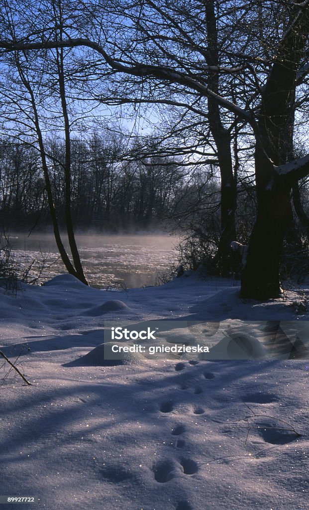 Brouillard et la rivière glacée - Photo de Arbre libre de droits