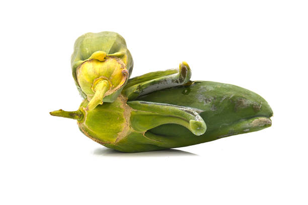 istock the papaya, pawpaw weird shape 899279080
