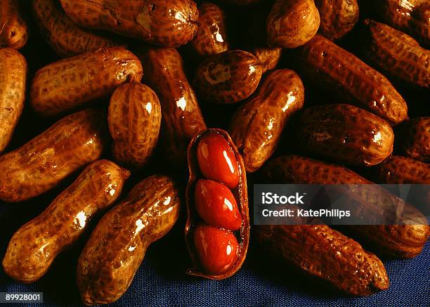 Gekochte Erdnüsse Stockfoto und mehr Bilder von Erdnuss - Erdnuss, Farbbild, Fotografie