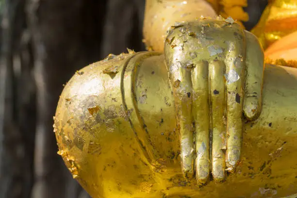 Buddha hand of yellow-gold In Buddhism