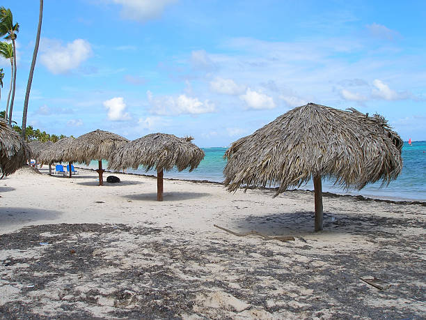 Deserted palapas stock photo