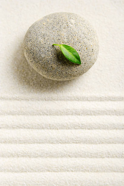 istock Small pebble with tiny green leaf on top on white gravel 89928440