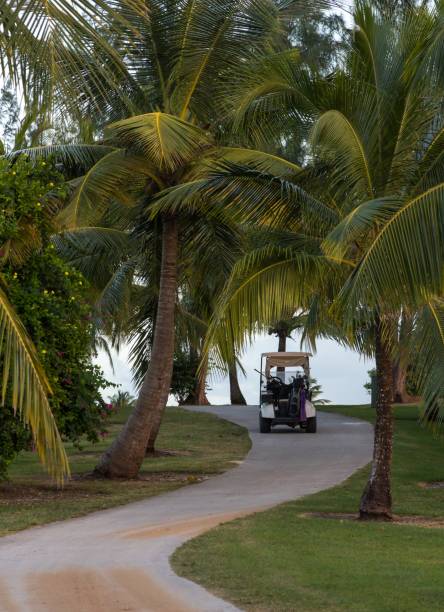 Golf cart on the path at a golf course stock photo