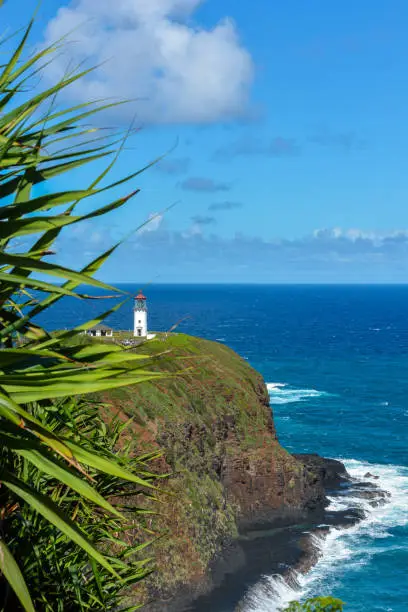 Photo of Kilauea Lighthouse bay on a sunny day in Kauai, Hawaii