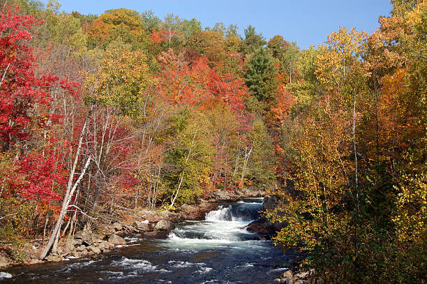 cascata in autunno - white water atlanta foto e immagini stock