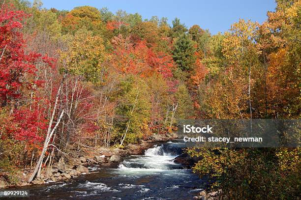 Cascata No Outono - Fotografias de stock e mais imagens de Outono - Outono, White Water Atlanta, Ao Ar Livre