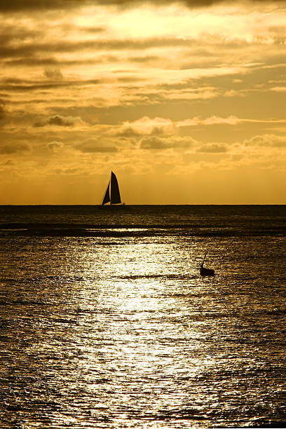 Veleiro ao pôr do sol - fotografia de stock