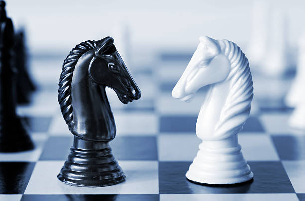 Black versus white chess knights on a board Head to head - knights on a chess board, in blue duotone.  Shallow depth of field. knight chess piece photos stock pictures, royalty-free photos & images