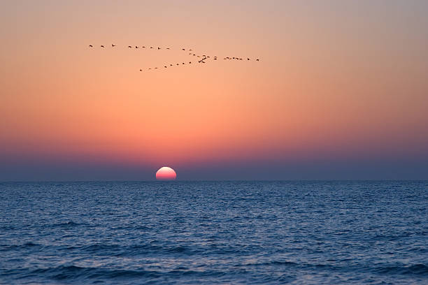 istock Cranes above the sea. 89929471