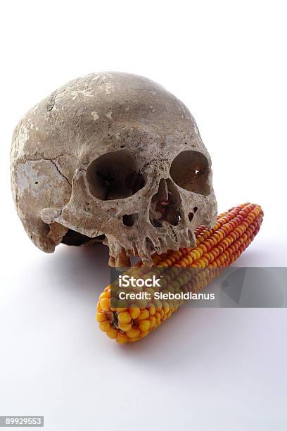 Foto de Modificação Genética Espiga E Aviso Crânio e mais fotos de stock de Agricultura - Agricultura, Alimento Transgênico, Anatomia