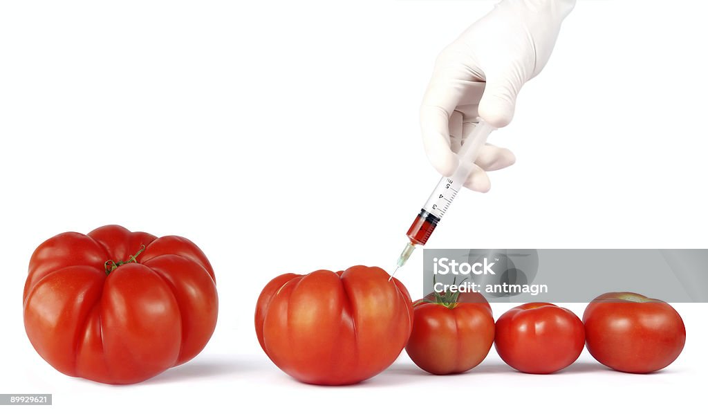 Realizando grandes tomates - Foto de stock de ADN libre de derechos