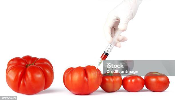 Realizando Grandes Tomates Foto de stock y más banco de imágenes de ADN - ADN, Alimento, Asistencia sanitaria y medicina