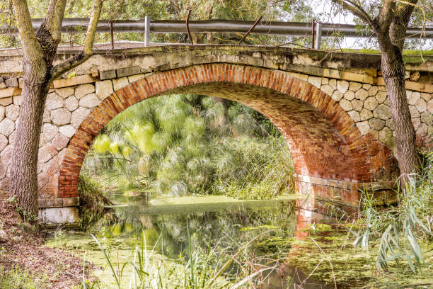 The papyrus bridge over the river Ciane in Syracuse Sicily