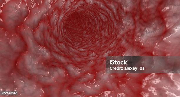 Artery Stock Photo - Download Image Now - Slimy, Artery, Unhealthy Eating