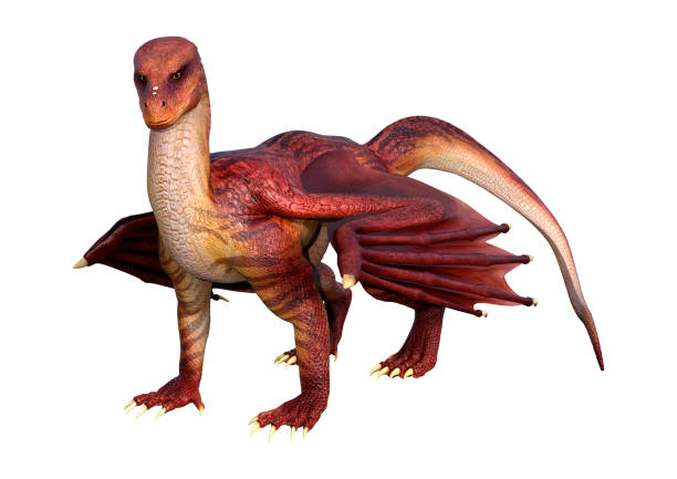 istock 3D rendering red fantasy dragon on white 899308402
