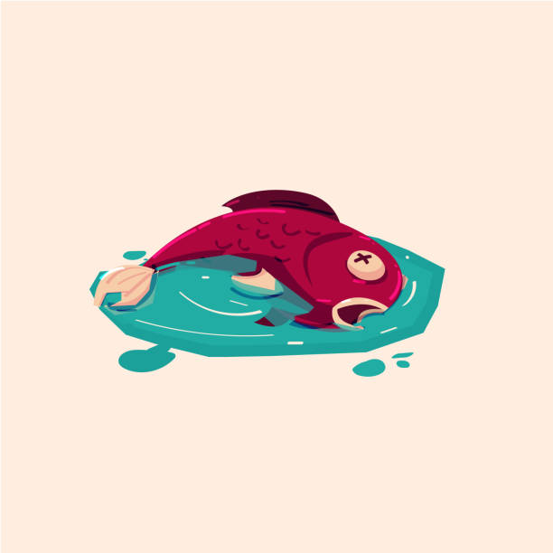 Print Stock Illustration - Download Image Now - Fish, Dead, Vector - iStock Print Stock Illustration - Download Image Now - Fish, Dead, Vector - iStock
