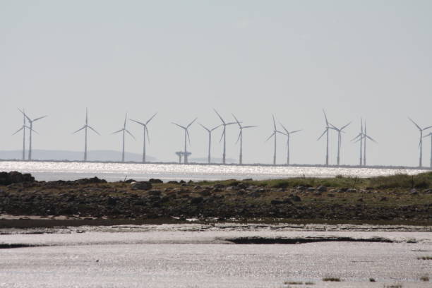 istock Wind turbines in the distance 899312866